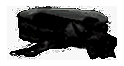 Arachnid Mesh