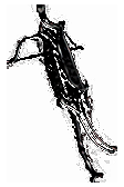 Demon Machine